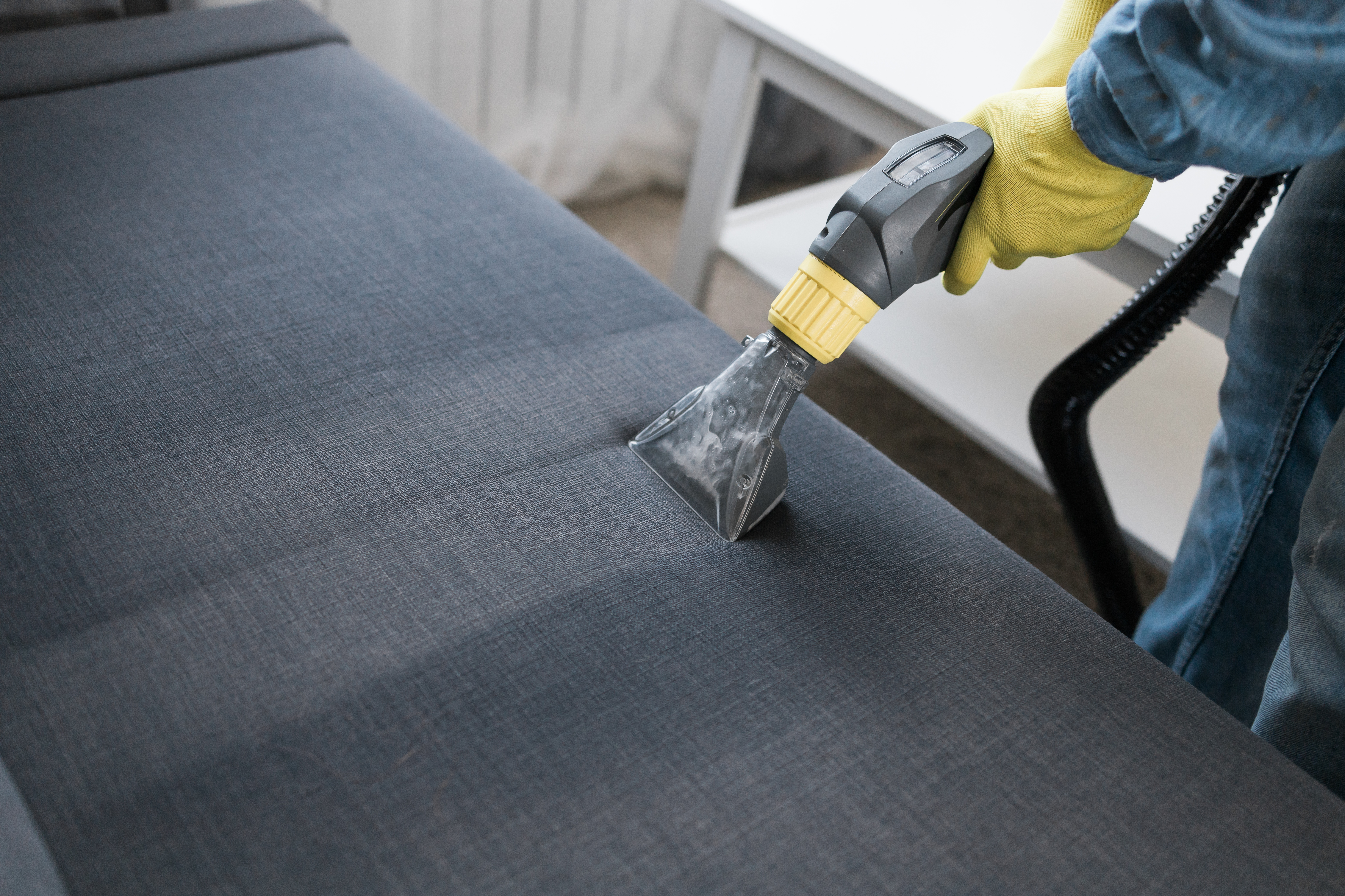 Professional carpet cleaning in action